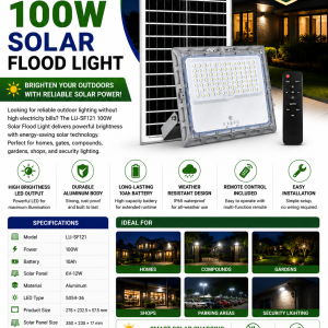 100W Solar Flood Light
